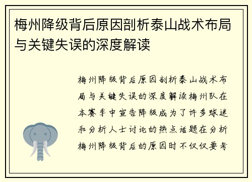 梅州降级背后原因剖析泰山战术布局与关键失误的深度解读