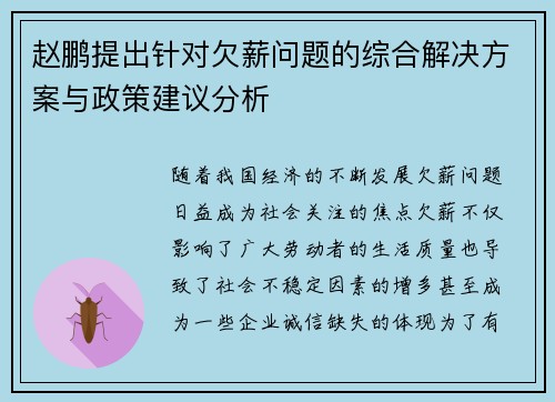 赵鹏提出针对欠薪问题的综合解决方案与政策建议分析 赵鹏提出针对欠薪问题的综合解决方案与政策建议分析
